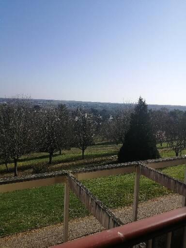 Apartament Studio Pres De Beauval Montrichard Zewnętrze zdjęcie